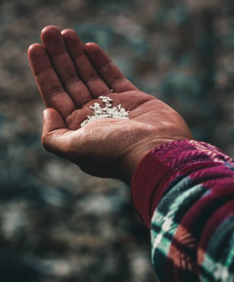 a hand outstretched with fragments of small white stones in the palm